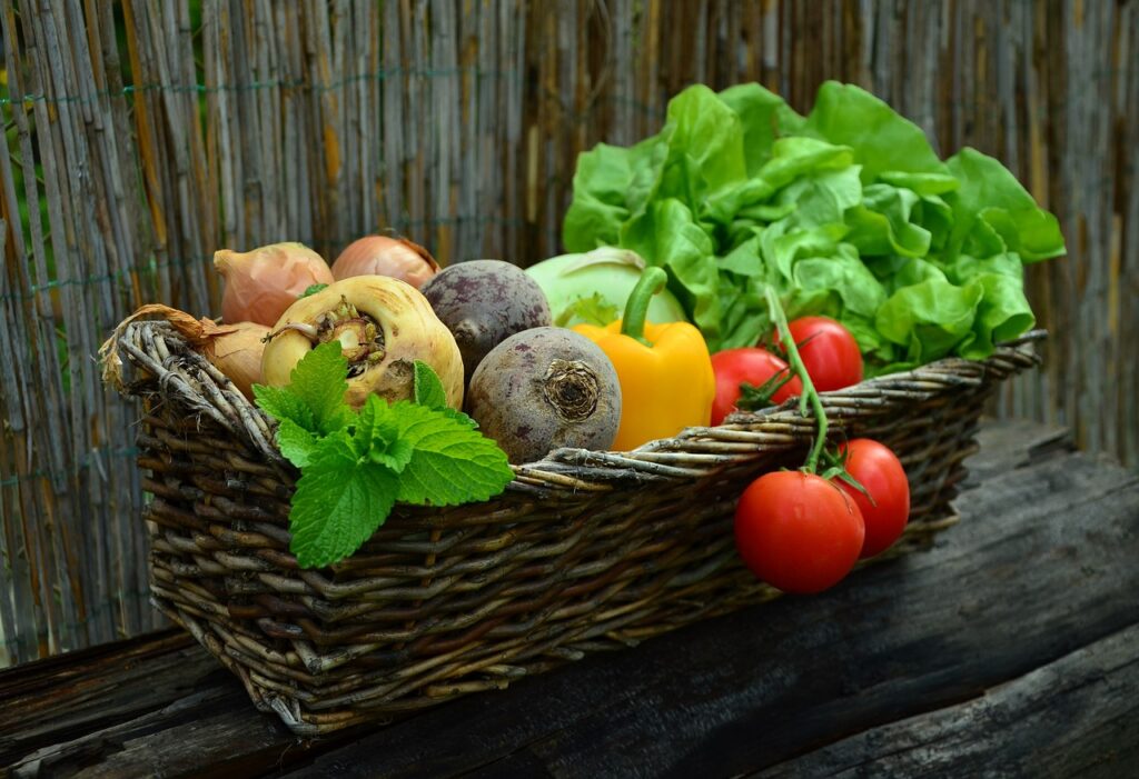 Jardinagem Orgânica Definitiva